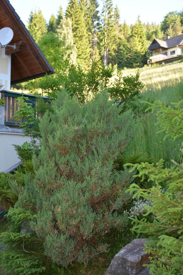 Ferienhaus Kristina/Hebalm Deutschlandsberg Eksteriør billede
